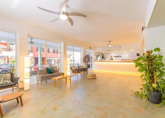 Boogaloo - Adults Only 2* El Arenal (Mallorca)