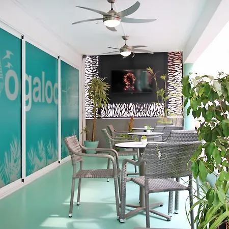 Boogaloo - Adults Only Hotel